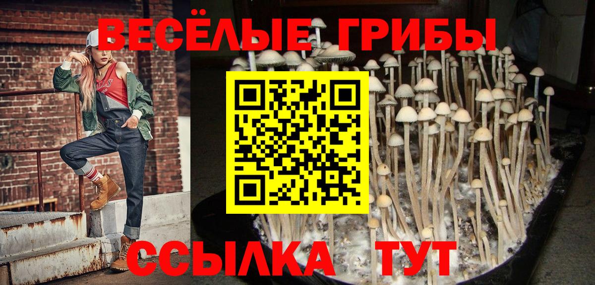 Псилоцибиновые грибы Psilocybe  Псилоцибиновые грибы ЛСД  Вход с VPN  Котельники 